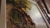 Cadre en Bois avec peinture en Relief - Image 2