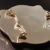 Boucle de Ceinture Authentique Montana SilverSmiths - Image 5