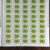 Timbres DDR Betula Pendula x100 - Image 2